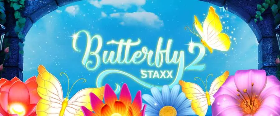 butterfly staxx banner