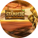 stampede logo