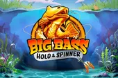 Image for Big Bass Hold and Spinner