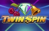 Image for Twin spin