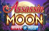 Image for Assassin moon