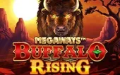 Buffalo Rising