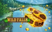 Wild Falls