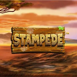 Image for Stampede