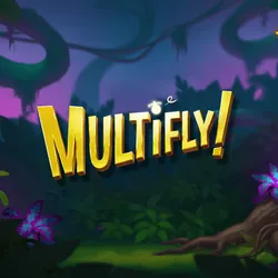 Logo image for Multifly