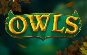 Owls