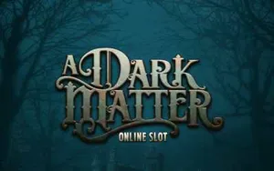 A Dark Matter