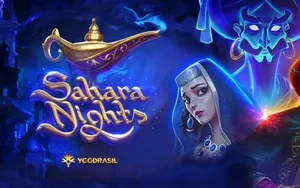 Sahara Nights