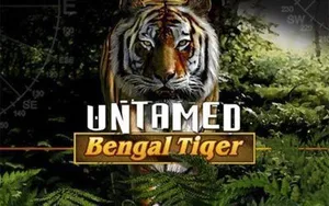 Untamed Bengal Tiger