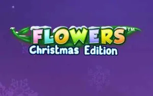 Flowers Christmas Edition