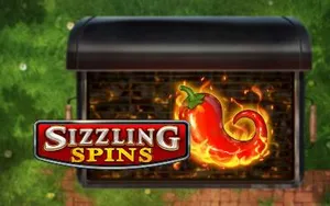 Sizzling Spins