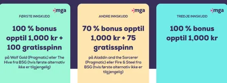 Wild Fortune Casino - Bonus