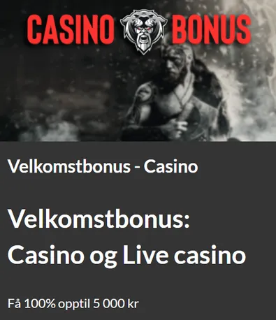 Velkomstbonus Betzerk Casino