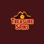 logo image for treasurespins