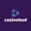 Logo image for Casinobud