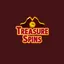 logo image for treasurespins