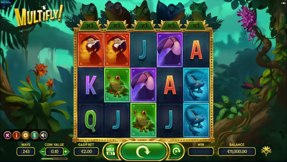 multifly slot