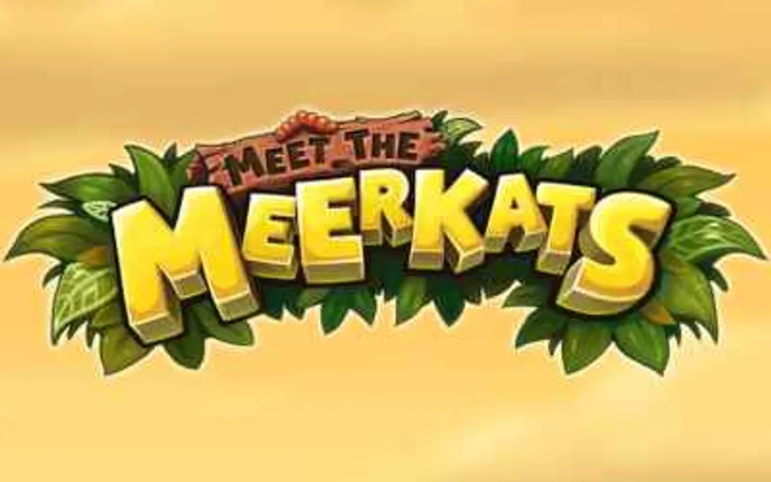 Meet The Meerkats