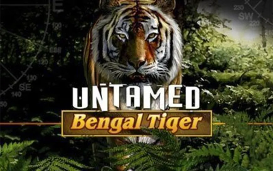 Untamed Bengal Tiger