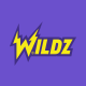 Logo image for Wildz Casino